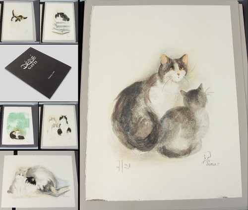 Cats gatti portfolio - -,