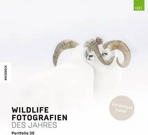 Wildlife fotografien des - wildlife,