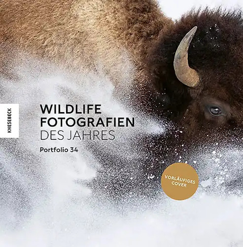 Wildlife fotografien des - wildlife,