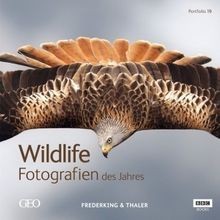 Portfolio wildlife - portfolio, 19.